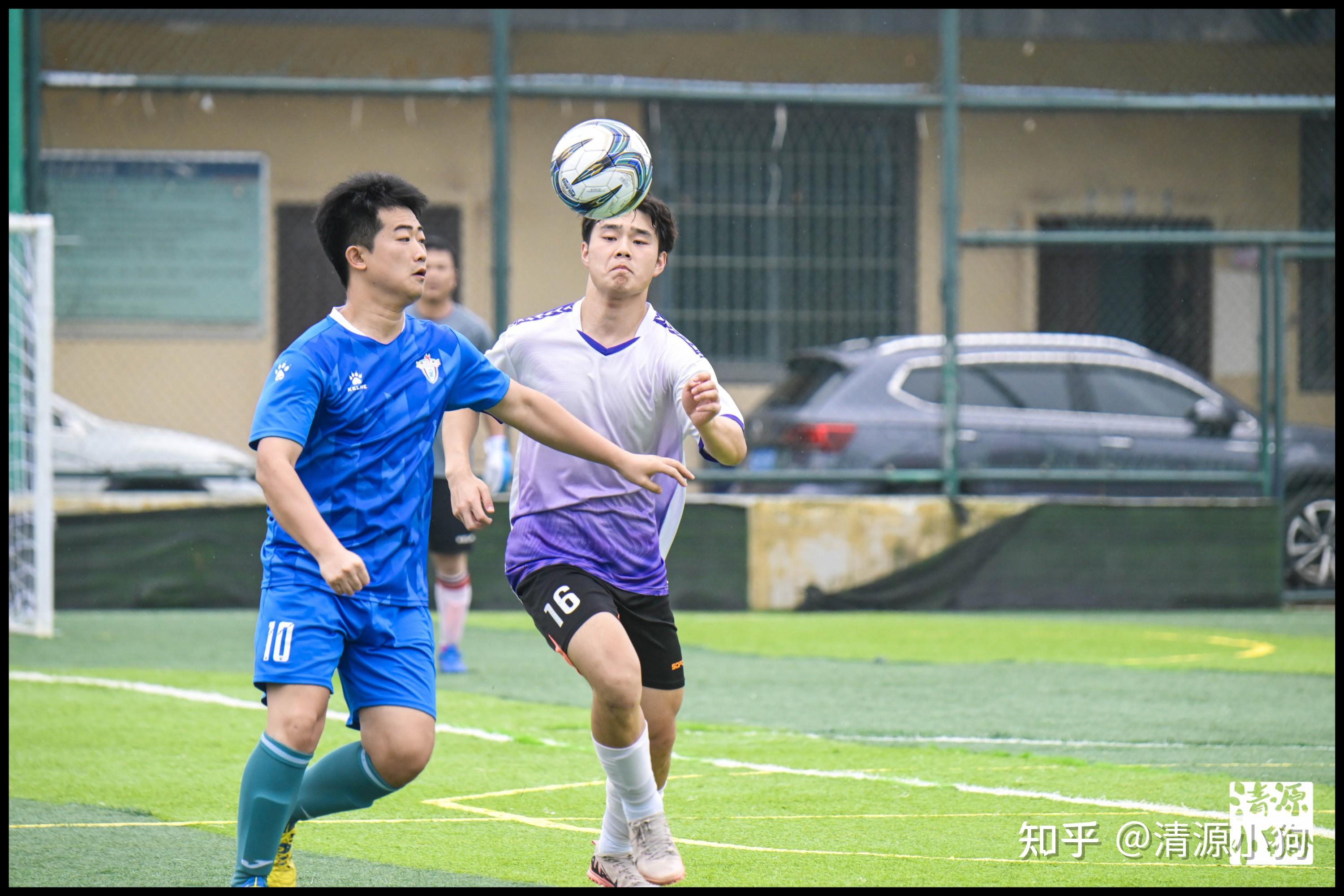 的应用不仅 的应用不仅