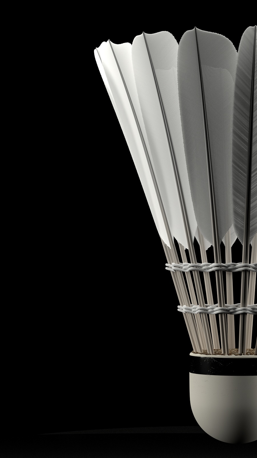 众多小选手 众多小选手